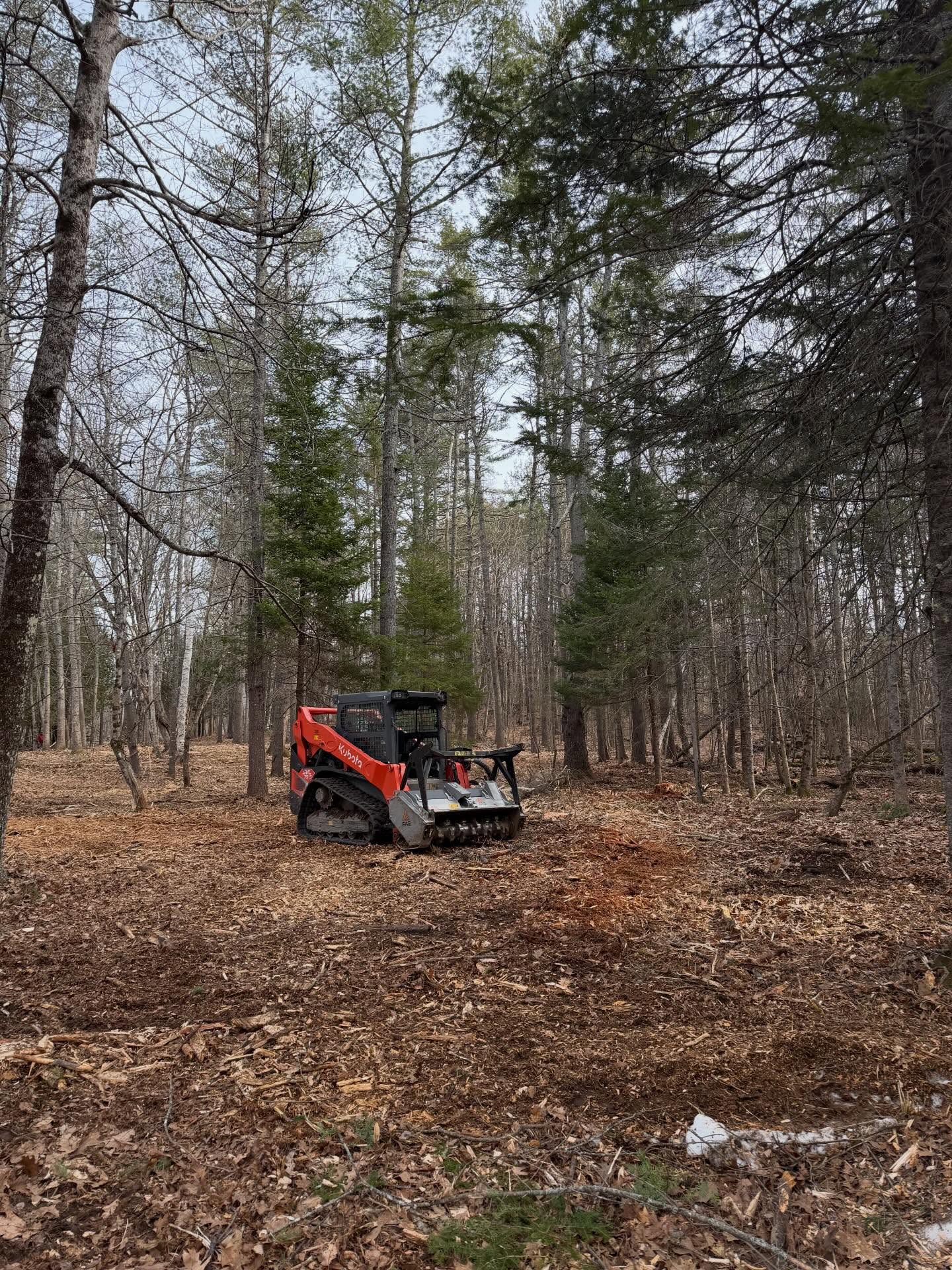 NEO Land Clearing | Forestry Mulching in Cleveland Backyard Clearing